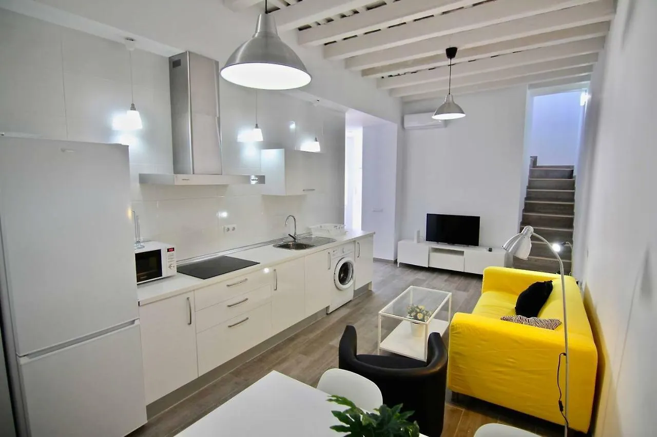Duplex Terraza Del Falla Cadiz